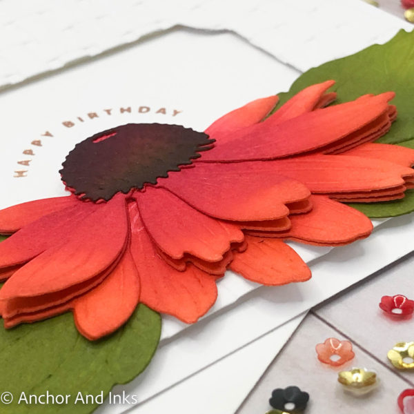 Coral and deep pink coneflower birthday card side view